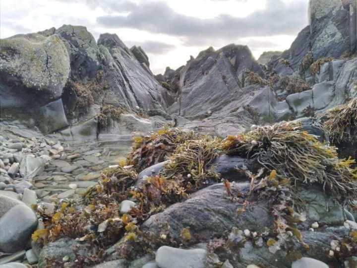 Port Lodge Northern Ireland Портафери Екстериор снимка